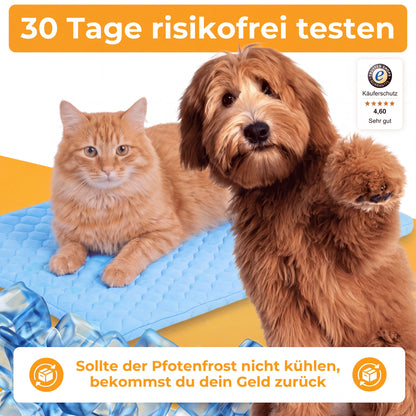 PfotenFrost - Der Bestseller